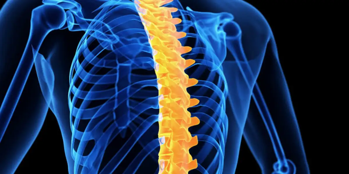 Unraveling the Myths about Thoracic Conditions: Your Questions Answered ...